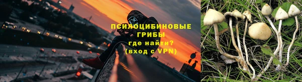 каннабис Дмитриев