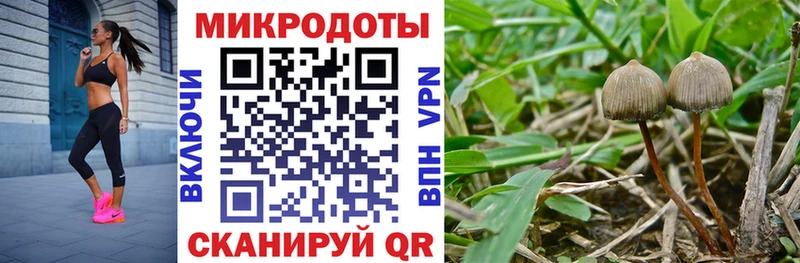 Псилоцибиновые грибы MAGIC MUSHROOMS  MEGA   Прокопьевск 
